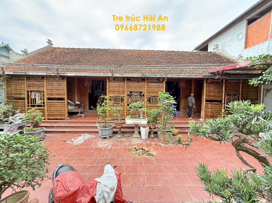 dai-tre-nha-co dại tre nhà co