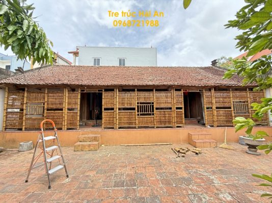 dại tre